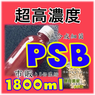 ☀️超’高濃度  PSB種菌　1800ml &培養剤50錠スポイド　培養セット