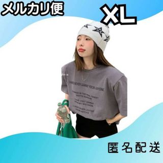 Tシャツ トップス ハン半そで ラウンドネック レディース　XL(Tシャツ(長袖/七分))