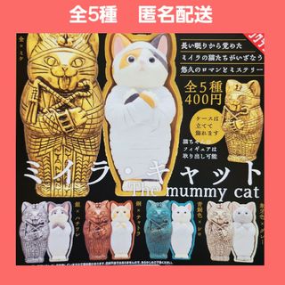 全5種 ミイラキャット ガチャ フィギュア 猫 ミイラ(その他)