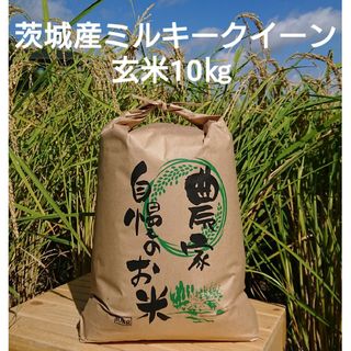 茨城令和5年産ミルキークイーン玄米10kg(米/穀物)