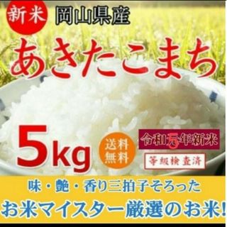 お米5kg(米/穀物)