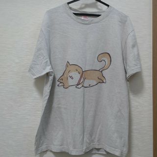 Ｔシャツ　レディース　Ｌサイズ(Tシャツ(半袖/袖なし))