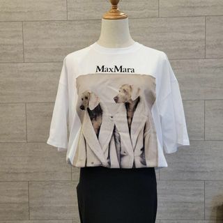 マックスマーラ(Max Mara)の★新品未使用★Max Mara ウェグマンプリント Tシャツ S サイズ展開あり(Tシャツ(半袖/袖なし))