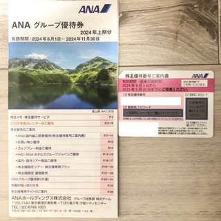 エーエヌエー(ゼンニッポンクウユ)(ANA(全日本空輸))のANA 株主優待券1枚（有効期限2025年5月31日）＋冊子(その他)