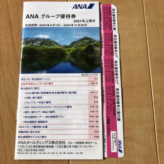 エーエヌエー(ゼンニッポンクウユ)(ANA(全日本空輸))のANA株主優待(その他)