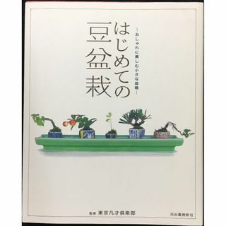 はじめての豆盆栽 気軽に楽しむ小さな盆栽(アート/エンタメ)