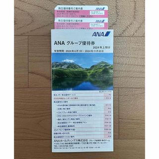 ANA株主優待券2枚　ANAグループ優待券1冊(その他)