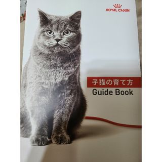 子猫の育て方　ガイドブック　ロイヤルカナン