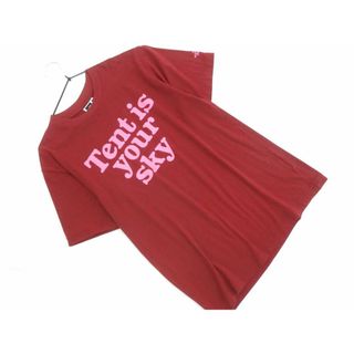 ザノースフェイス(THE NORTH FACE)のTHE NORTH FACE ザノースフェイス NT32600 TNF PRINT TEE Tシャツ sizeM/ボルドー ■◆ メンズ(Tシャツ/カットソー(半袖/袖なし))