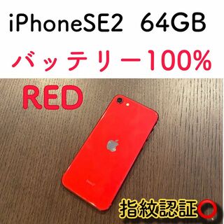 アップル(Apple)の【美品】iPhone SE2レッド 64GB SIMフリー 本体 大容量(スマートフォン本体)
