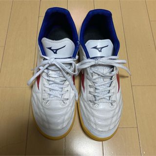 ミズノ(MIZUNO)のMIZUNOフットサルシューズ　　モナルシーダネオ　25.5(シューズ)