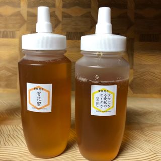 増量！【非加熱・生はちみつ】百花蜜300g&セイタカ百花蜜250g(2本)