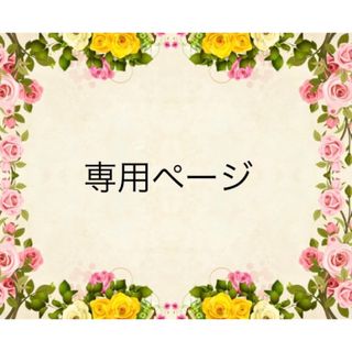 あこうみ様専用ページ3点ご購入(その他)