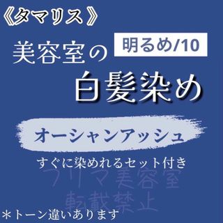 ダメージケア ヘアカラー セット タマリス 10-OA 白髪染め ヘアカラー剤(白髪染め)