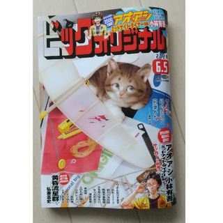 ビッグコミック オリジナル 2024年 6/5号 [雑誌](アート/エンタメ/ホビー)