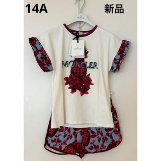 モンクレール(MONCLER)のレア★ MONCLER  Tシャツ パンツ　　　　　　　セットアップ(Tシャツ/カットソー(半袖/袖なし))