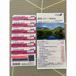 ANA 株主優待券6枚＋グループ優待(その他)