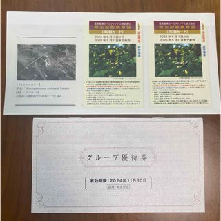 阪急・阪神 株主回数乗車証(30回×2枚)'24.06.01〜'25.05.31(鉄道乗車券)