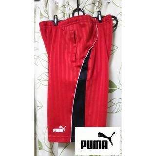 PUMA - プーマ　ハーフパンツ　160サイズ