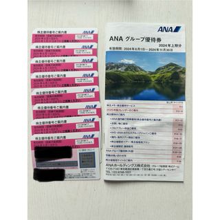 エーエヌエー(ゼンニッポンクウユ)(ANA(全日本空輸))のANA株主優待券　8枚(航空券)