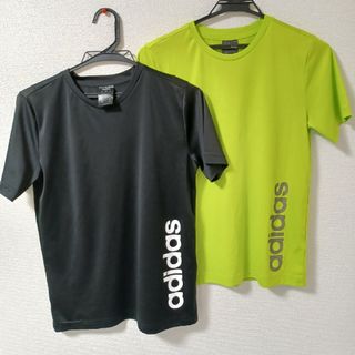 アディダス(adidas)のadidas Tシャツ 半袖(Tシャツ/カットソー)