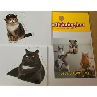 スピンズ(SPINNS)の新品！未使用品！★極美品★未開封！猫ステッカー3種類　かわいい(ステッカー（シール）)