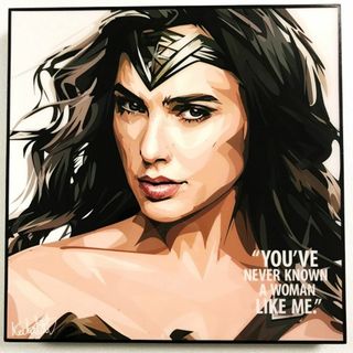 【※訳アリ特価品】Wonder Woman ワンダーウーマン / アートパネル(絵画/タペストリー)