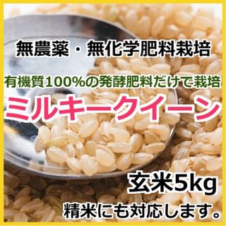 【令和5年産】無農薬栽培米・ミルキークイーン《玄米 5kg》精米にも無料対応(米/穀物)