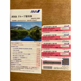 エーエヌエー(ゼンニッポンクウユ)(ANA(全日本空輸))のANA株主優待券(その他)