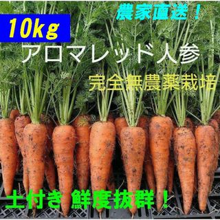 アロマレッド人参 10kg 完全無農薬栽培　農家直送　朝採り　新鮮　にんじん(野菜)