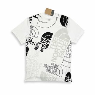 ノースフェイス『新品正規品タグ付き』海外限定Multi Tシャツ