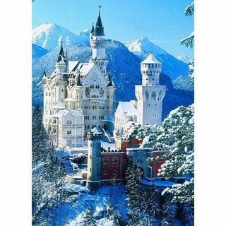 L36 冬のノイシュヴァンシュタイン城/ドイツ/海外風景/アートパネル