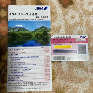 エーエヌエー(ゼンニッポンクウユ)(ANA(全日本空輸))のANA株主優待券(その他)