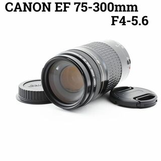キヤノン(Canon)の実用品 Canon ZOOM LENS EF 75-300mm 4-5.6(レンズ(ズーム))