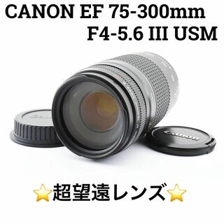キヤノン(Canon)のCanon EF 75-300mm 4-5.6 III USM 望遠ズームレンズ(レンズ(ズーム))