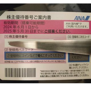 エーエヌエー(ゼンニッポンクウユ)(ANA(全日本空輸))のANA株主優待(その他)