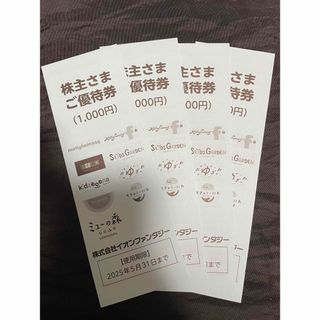 補償有 イオンファンタジー株主優待券 4,000円(その他)