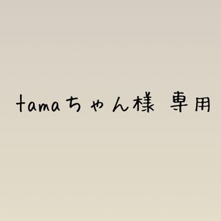 tamaちゃん様　専用(その他)