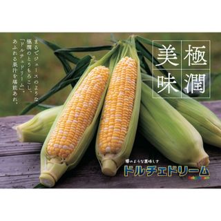 とうもろこし、ドルチェドリーム、A品8本(野菜)