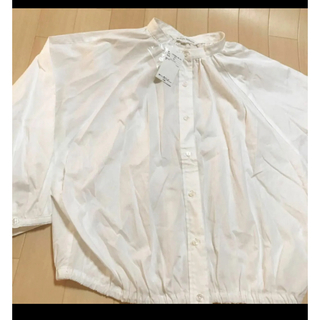 テチチ　ブラウス　未使用品　新品　長袖　mサイズ からLサイズぐらい　綿100%(シャツ/ブラウス(長袖/七分))