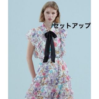 ダブルスタンダードクロージング(DOUBLE STANDARD CLOTHING)のダブルスタンダード  オリジナルプリントシフォンブラウス マキシスカート(ロングワンピース/マキシワンピース)