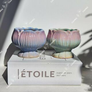 韓国   2個セット 蓮の花ラメ加工 かわいい 窯変 植木鉢 陶器鉢 多肉植物(プランター)
