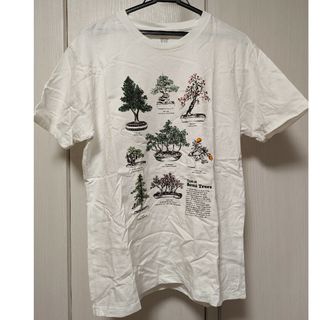 グラニフ(Graniph)のグラニフTシャツ　Lサイズ(Tシャツ/カットソー(半袖/袖なし))