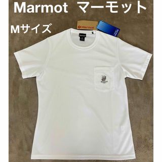 MARMOT - Marmot マーモット　レディース　Tシャツ　M ポケット　登山 アウトドア