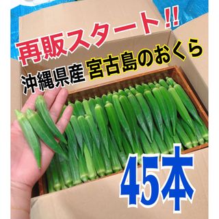 【45本】宮古島産　おくら　オクラ(野菜)