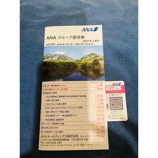 エーエヌエー(ゼンニッポンクウユ)(ANA(全日本空輸))のANA 株主優待(航空券)