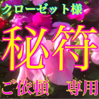 秘符(クローゼット様　専用)商売繁盛､邪気､生き霊､悪霊退散､護符､霊符､お守り(その他)