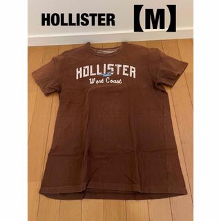 ホリスター(Hollister)のHOLLISTER ホリスター Tee(Tシャツ(半袖/袖なし))