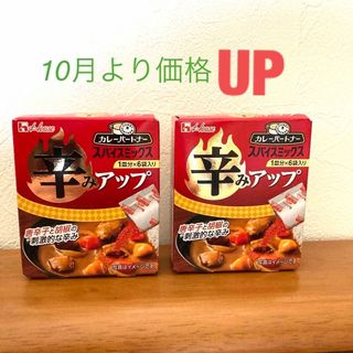 ハウスショクヒン(ハウス食品)のハウス《2箱》カレーパートナー　スパイスミックス　辛みアップ(調味料)