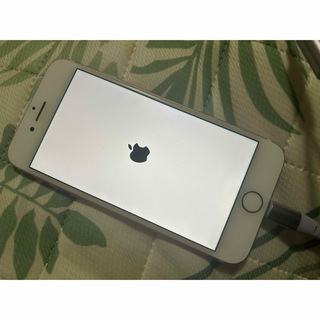 Apple - iPhone7 本体